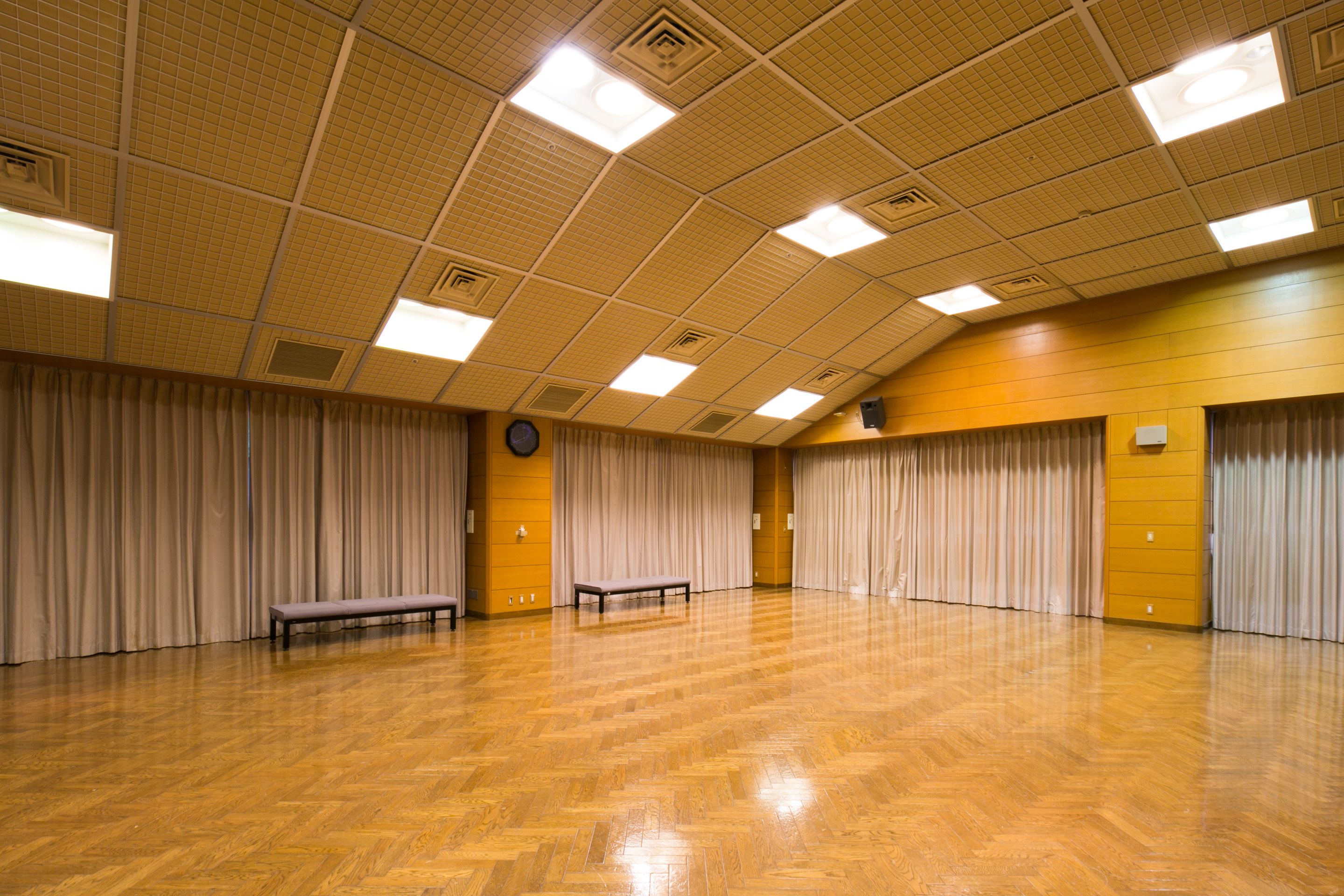 Een ruime, lege kamer met houten vloeren, een hoog plafond met rasterverlichting en gordijnen aan de wanden.