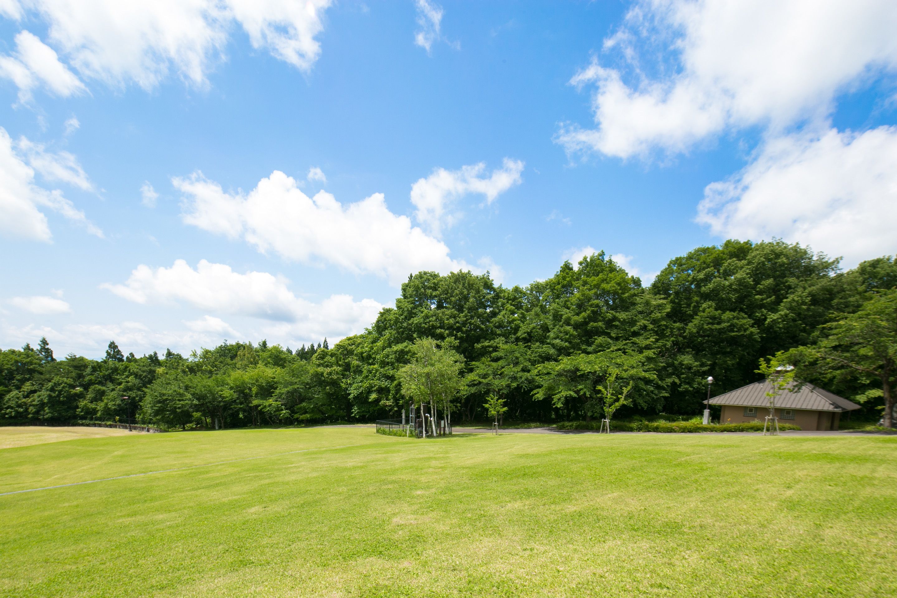 A grassy field with a building in the background.