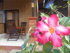 A flower in the foreground with a building and chairs in the background. - The Local Menjangan (Pejarakan)
