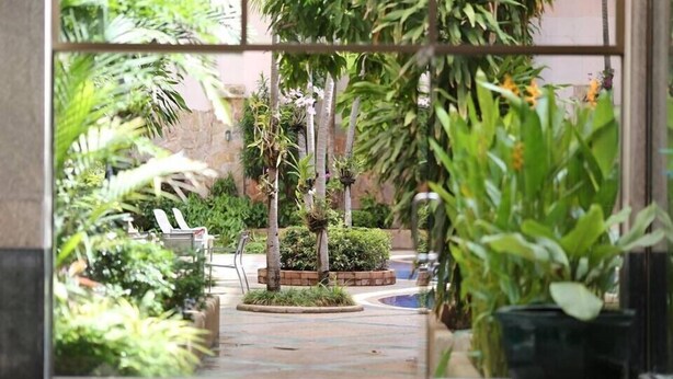 A view through a glass door into a courtyard with palm trees, potted plants, and a tiled floor. - R.S. Hotel (Kanchanaburi)