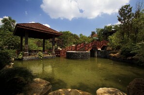 Ćreas de la propiedad