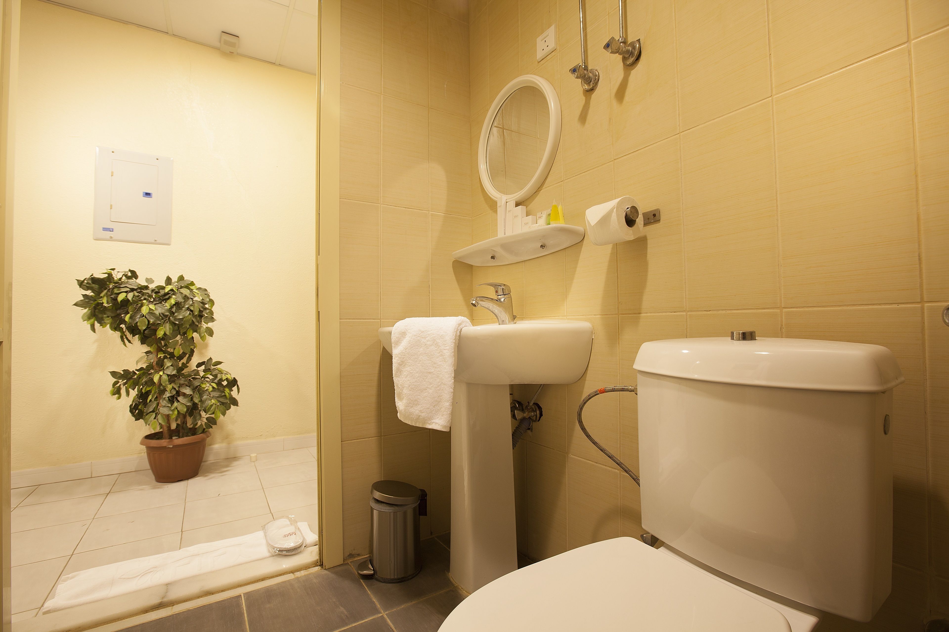 A bathroom with a toilet, sink, and mirror. There is a potted plant and a trash can.