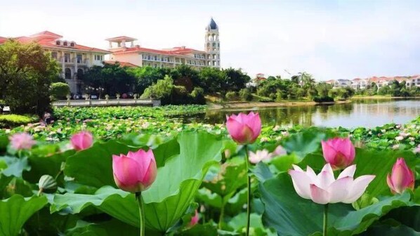 Property grounds - Ctry Garden Phoenix Hot Spring Taizhou (Taizhou)