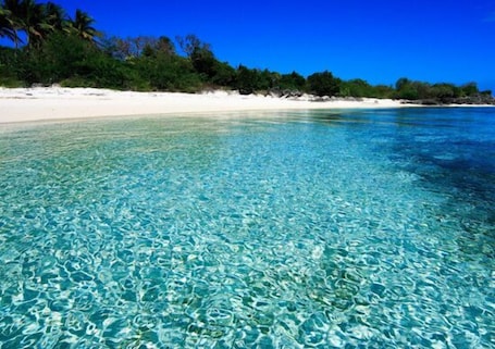 在海滩、沙滩椅