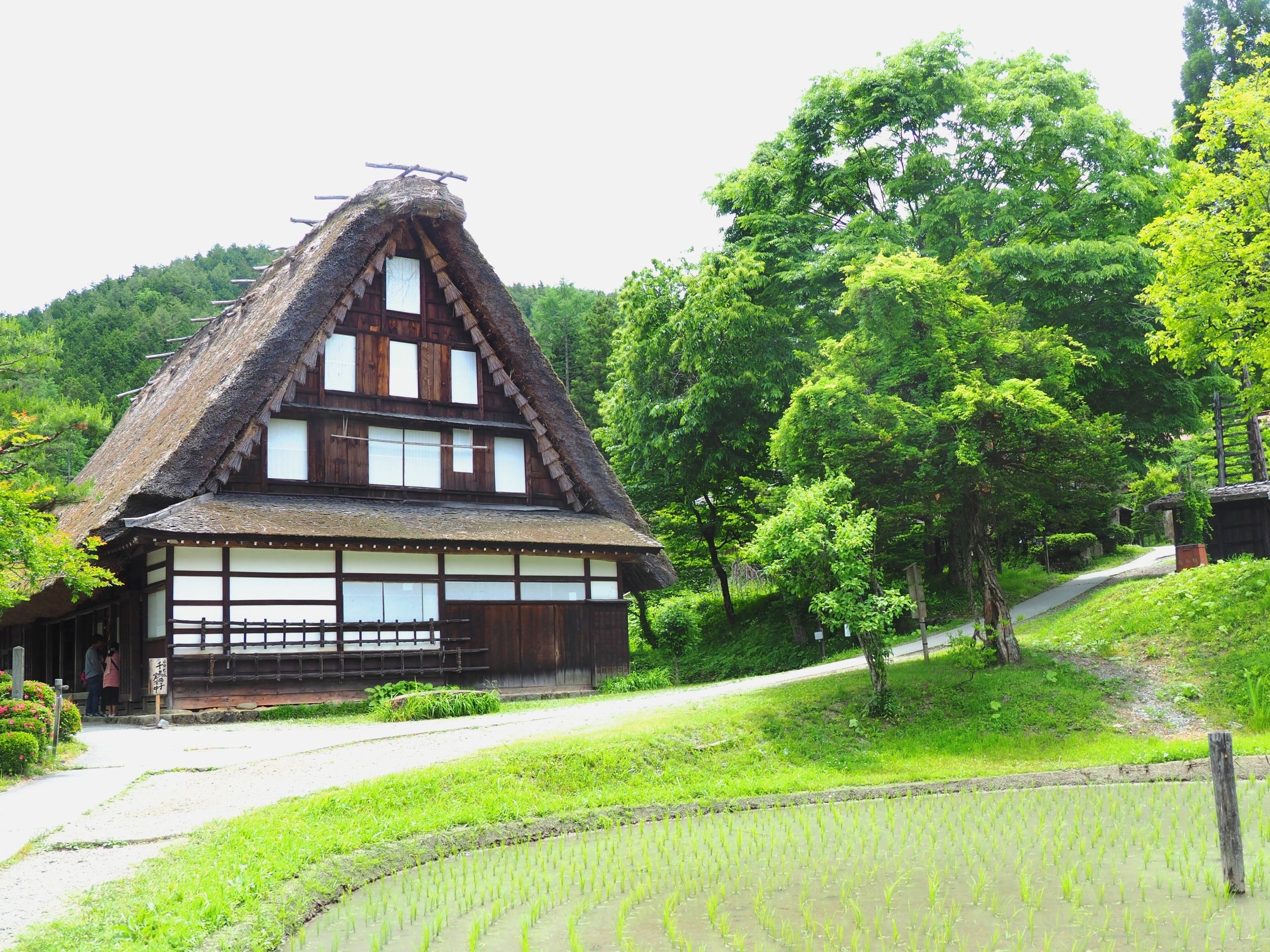 Land view from property