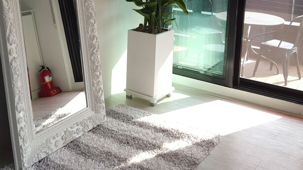 A room with a large mirror, a potted plant, a grey rug, and a view of the outside through a window. - Amazon Guesthouse - Hostel (Seoul)