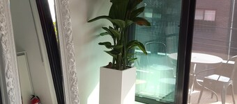 Amazon Guesthouse - Hostel