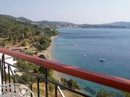 Vista desde la propiedad