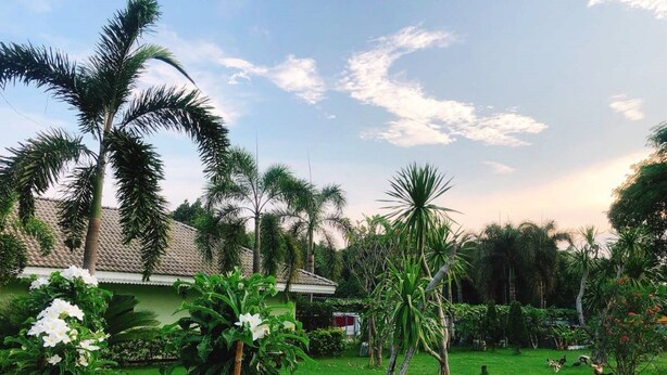 A lush garden with palm trees, a variety of flowers, and a grassy lawn. - Bypass and Resort (Kanchanaburi)