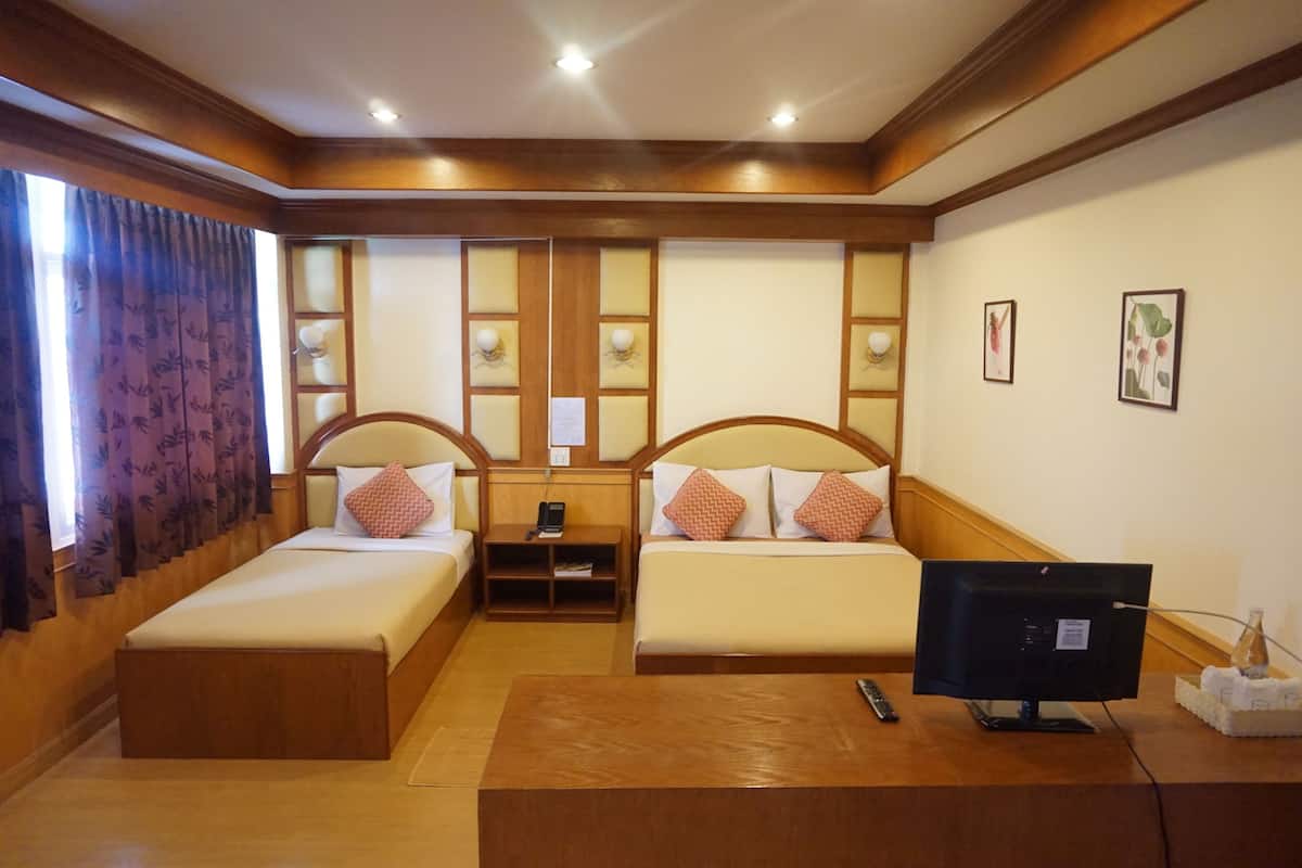 VIP Room | Desk, free WiFi