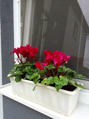 A white window box with red flowers and green leaves on a window sill. - Ferienhaus Piešťany (Banka)