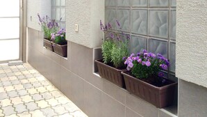 A building exterior with a tiled floor, two window boxes with purple flowers, and a textured wall. - Ferienhaus Piešťany (Banka)