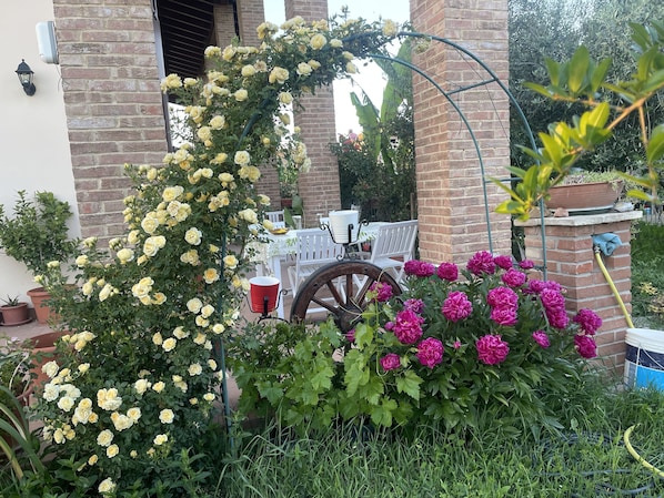 Exterior - B&B San Giorgio (Traversetolo)