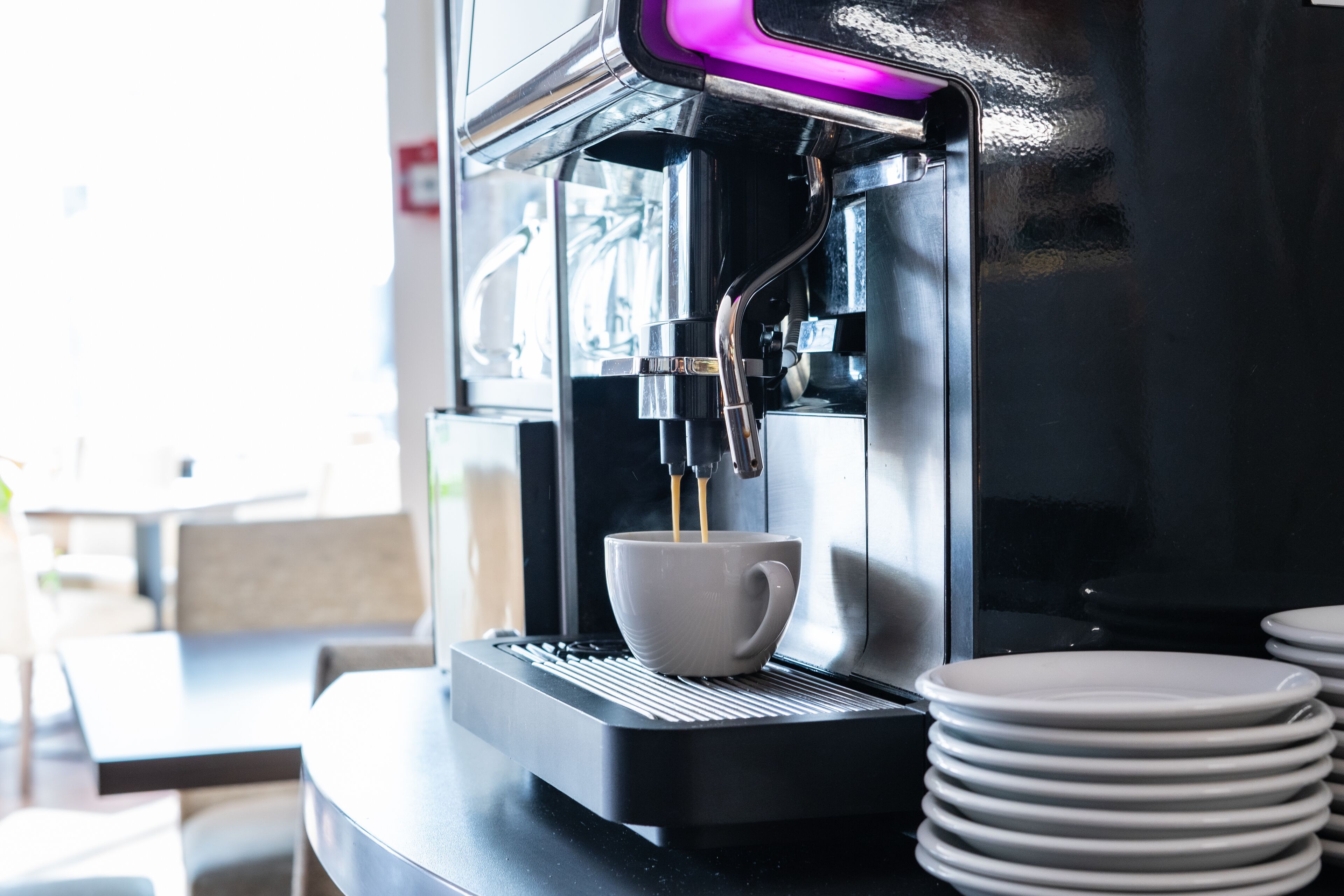 daily buffet breakfast for a fee