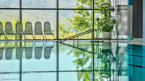 Une piscine à l’eau claire où se reflètent les arbres et un paysage montagneux.