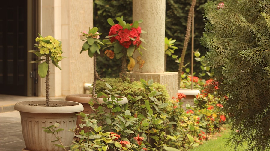 Hotel Residence Flamani