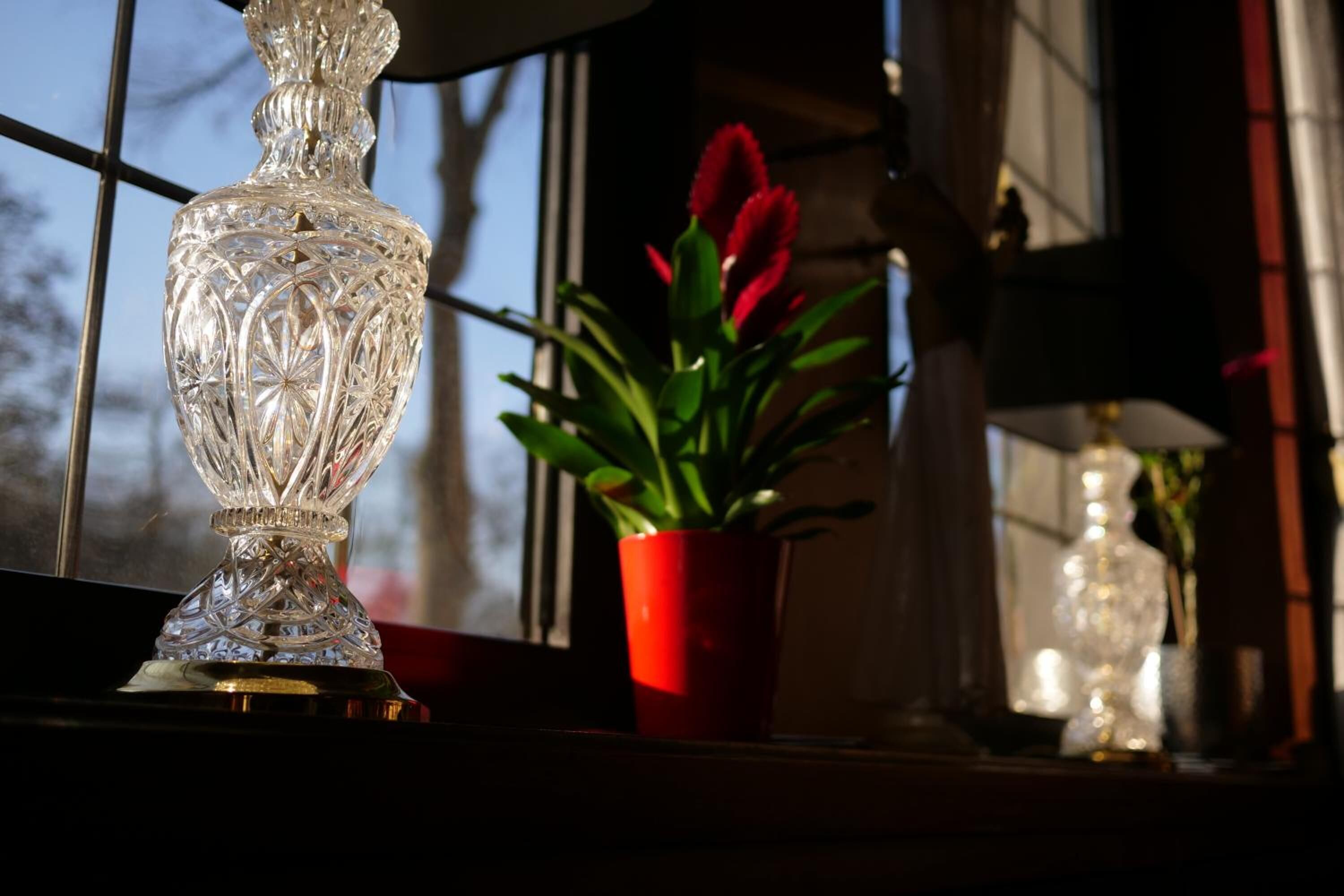 Foto - Parkhotel Bergheim