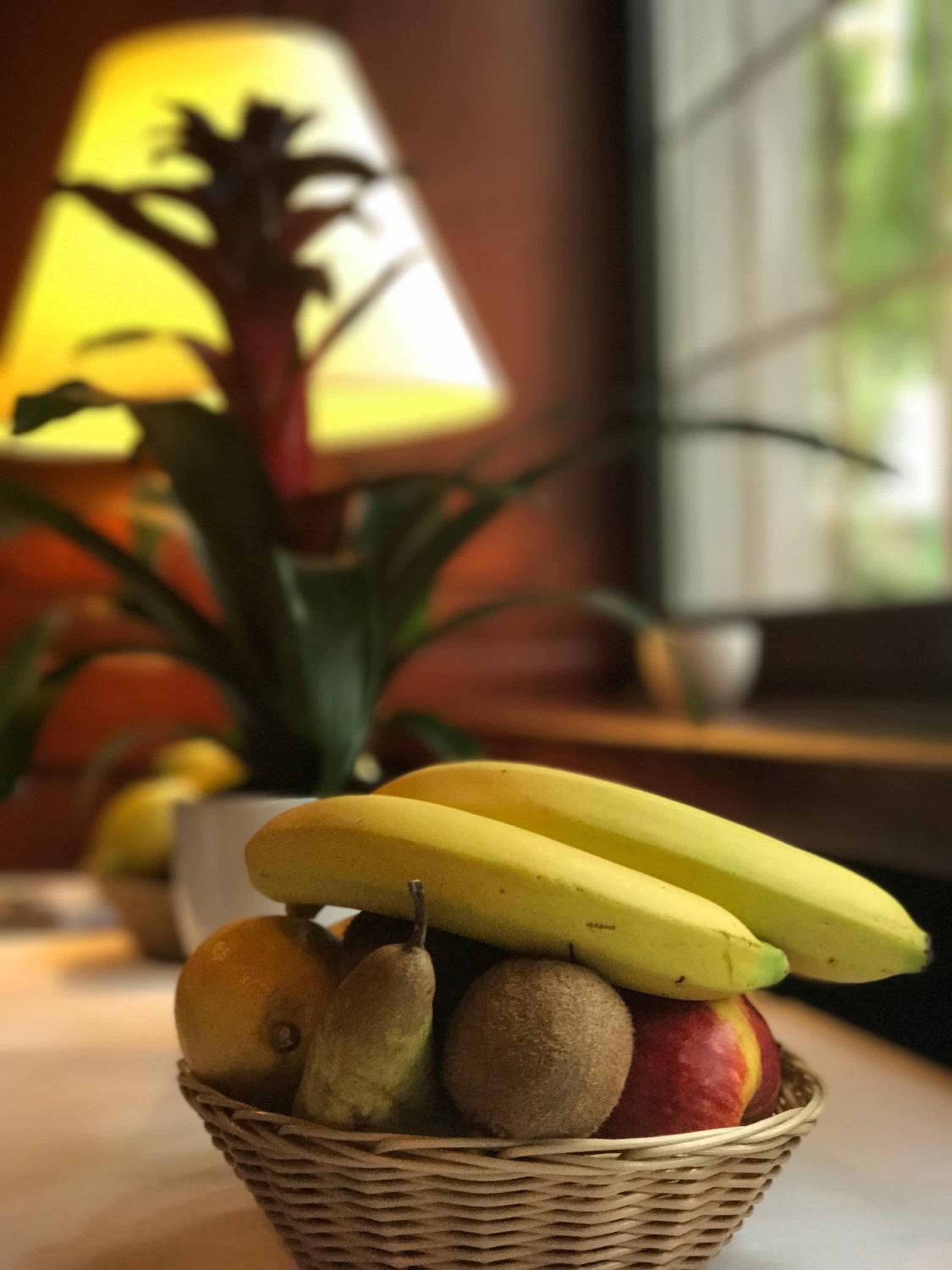 Foto - Parkhotel Bergheim