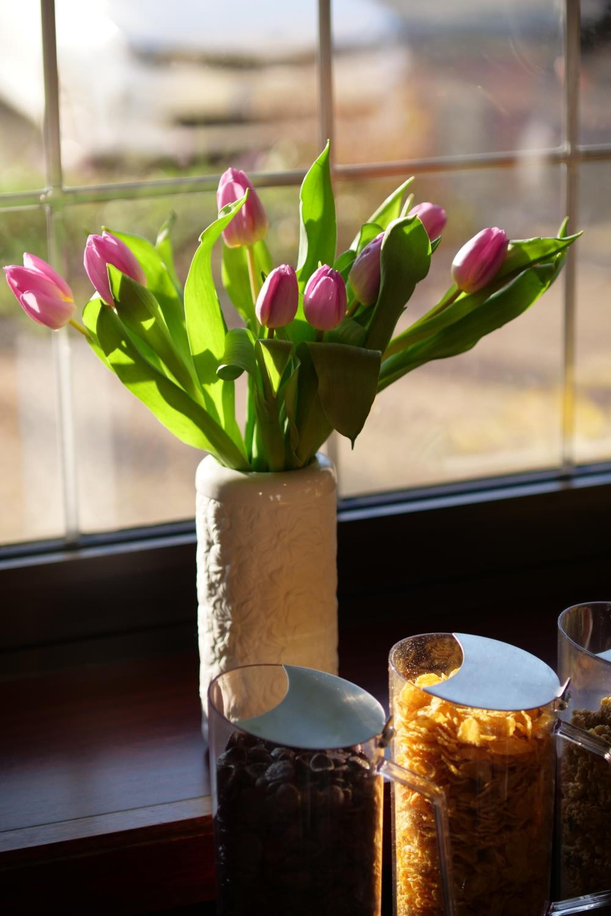 Foto - Parkhotel Bergheim