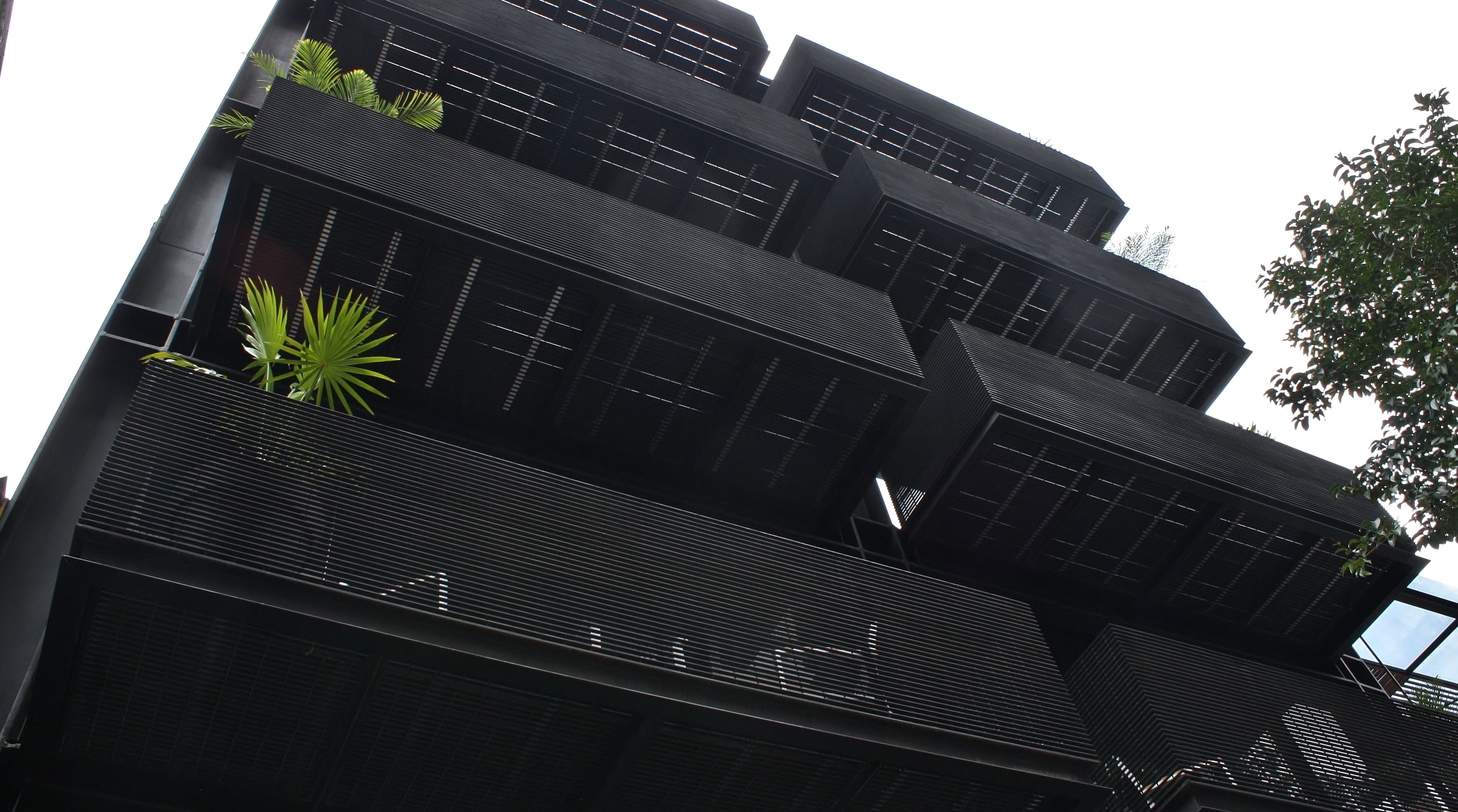 Foto - MX Grand Suites