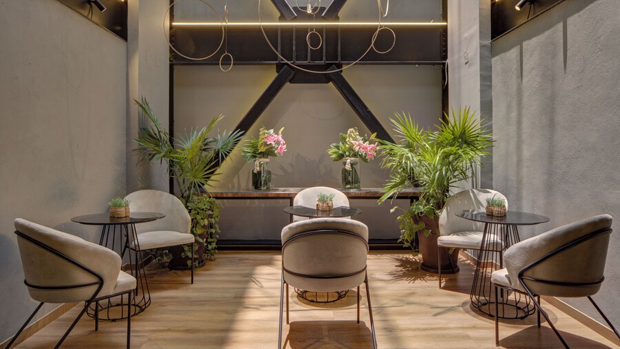 MX Grand Suites