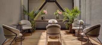MX Grand Suites