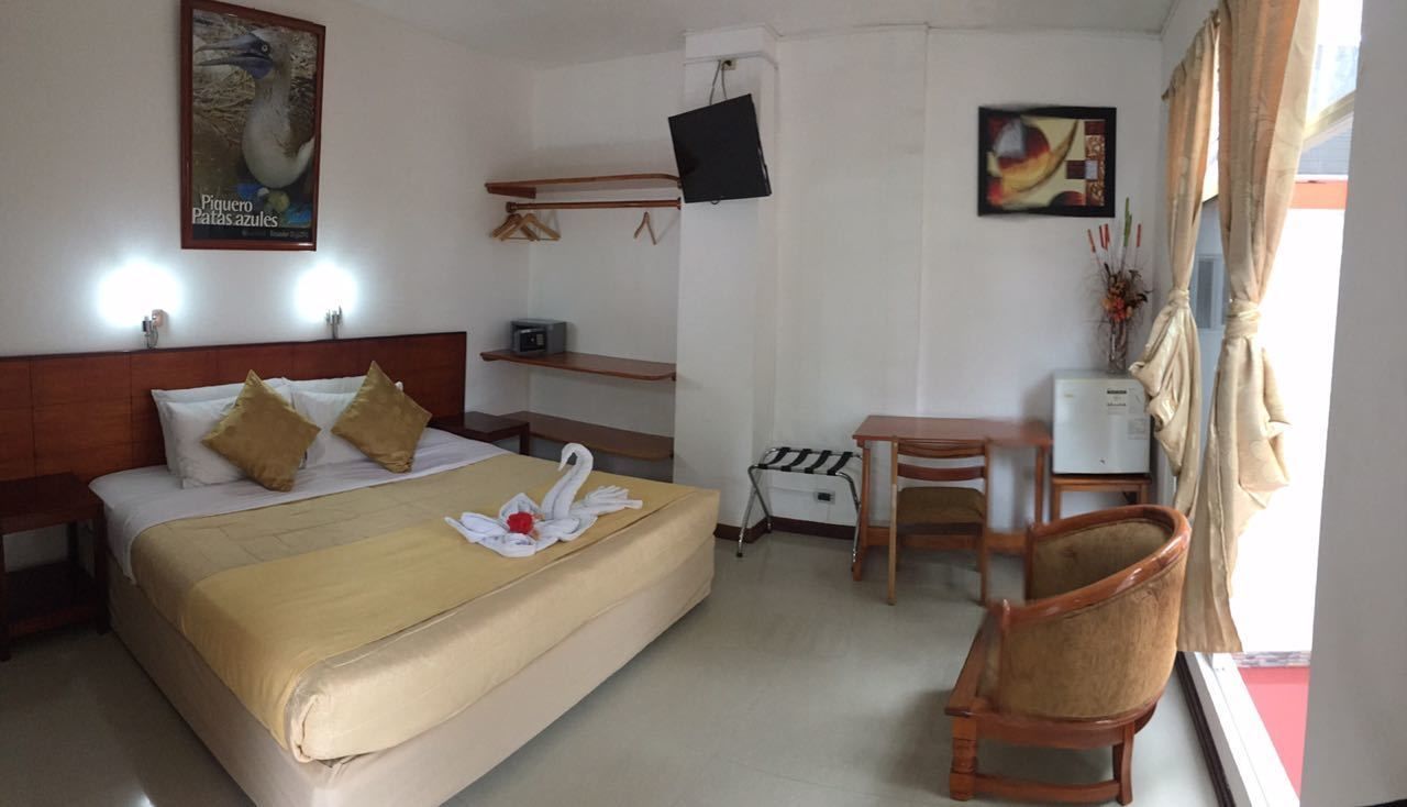 economy single room, ensuite | floor plan