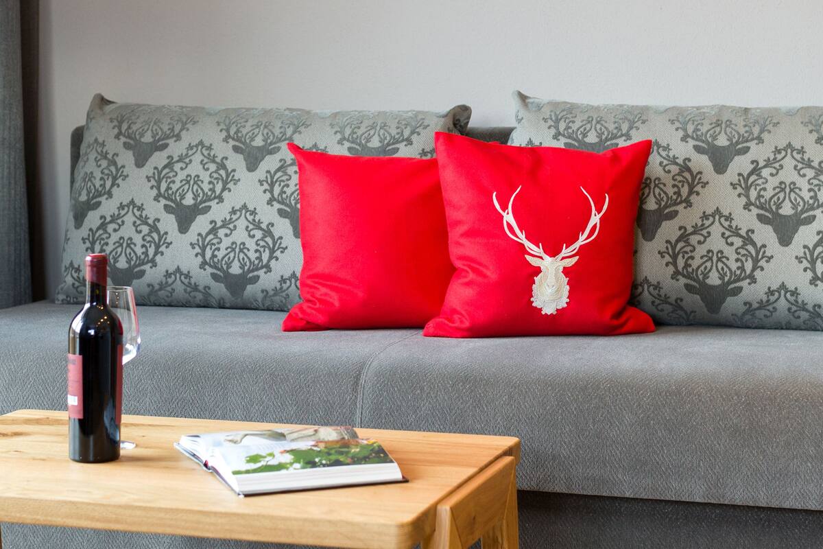 Flat-screen TV, ping pong, books