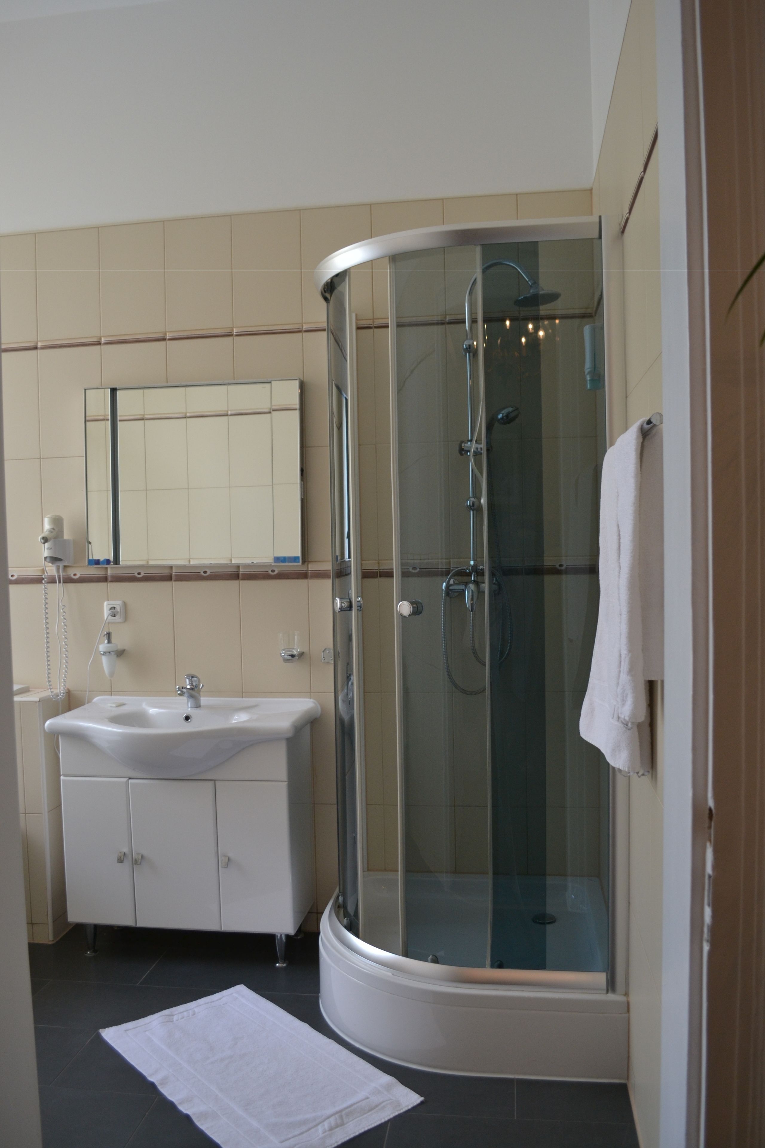 A modern bathroom with a glass-enclosed shower, a white sink, and a mirror above it.