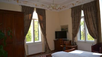 A hotel room with a bed, a television, a desk, and a chair. There are two windows with curtains, a radiator, and a plant.
