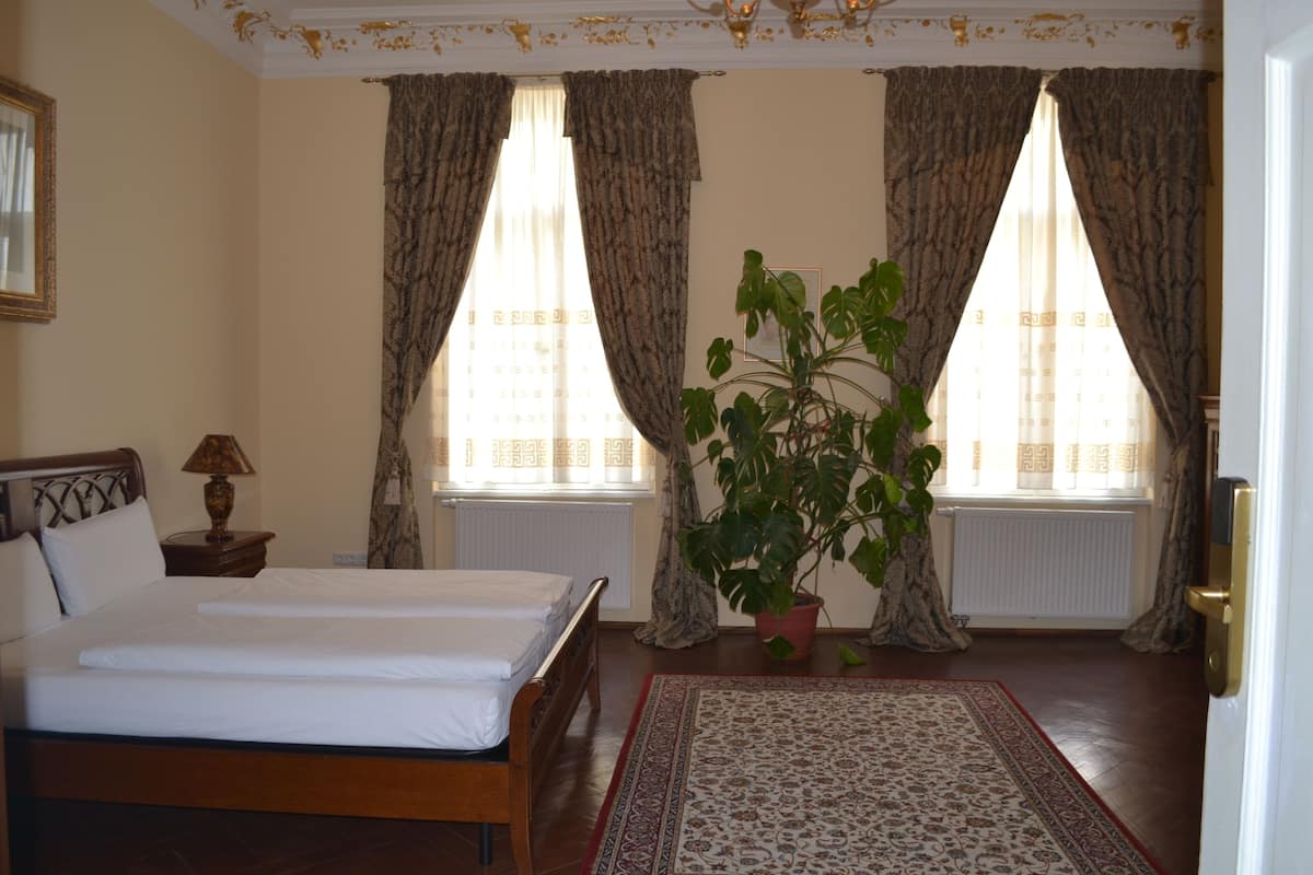 A hotel room with a bed, a potted plant, a window with curtains, a radiator, and a door.