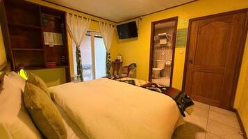 Un dormitorio con cama, televisión, armario y puerta.
