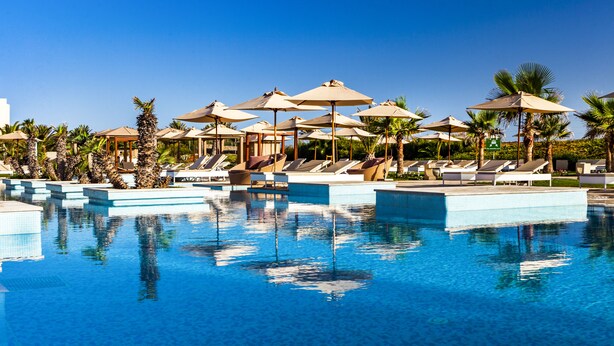 Un área de piscina con sillas de descanso y sombrillas, rodeada de palmeras.