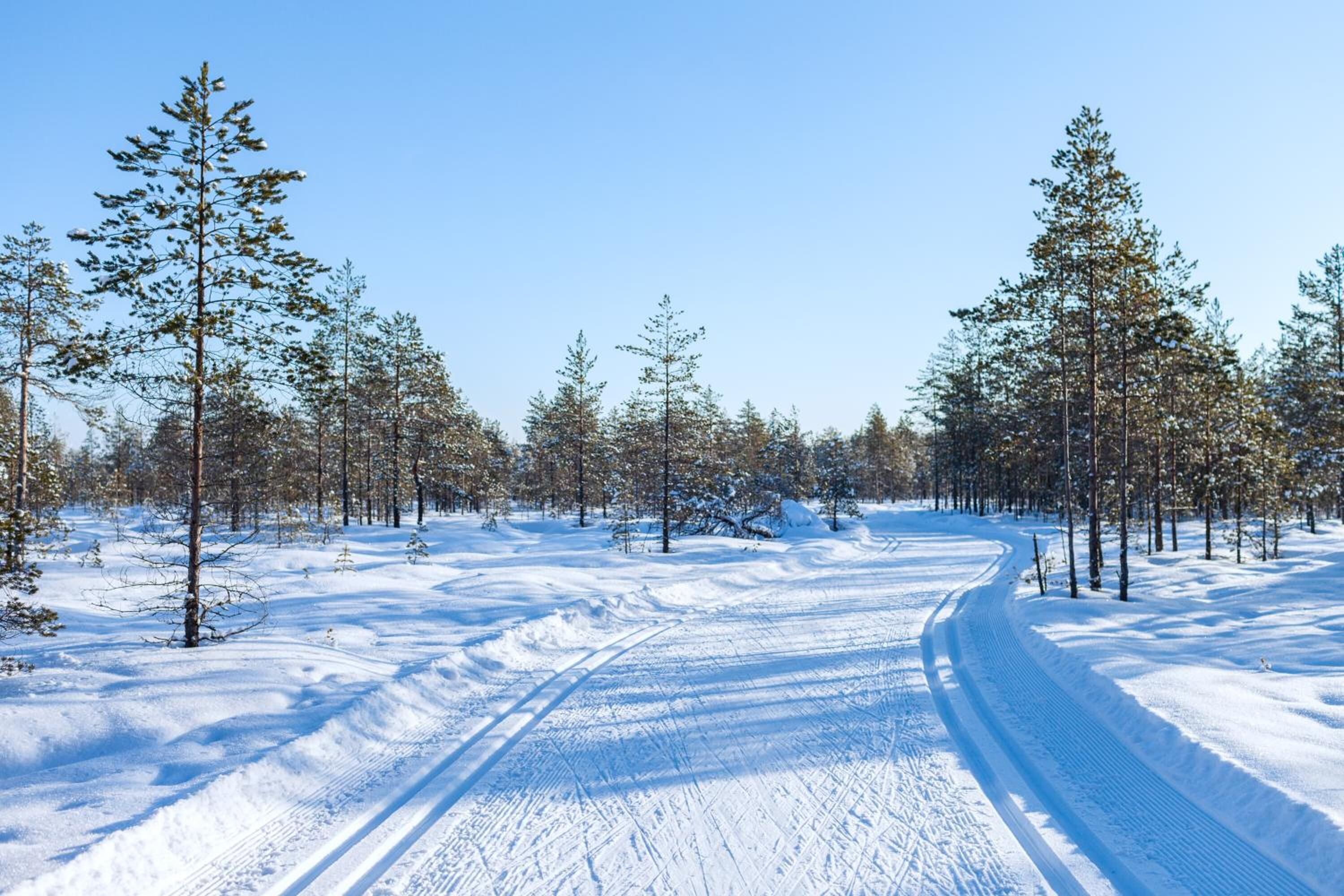 Une route forestière enneigée, bordée d’arbres des deux côtés.
