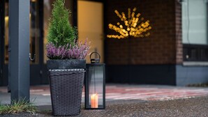 A potted plant with a candle and a lantern outside a building.
