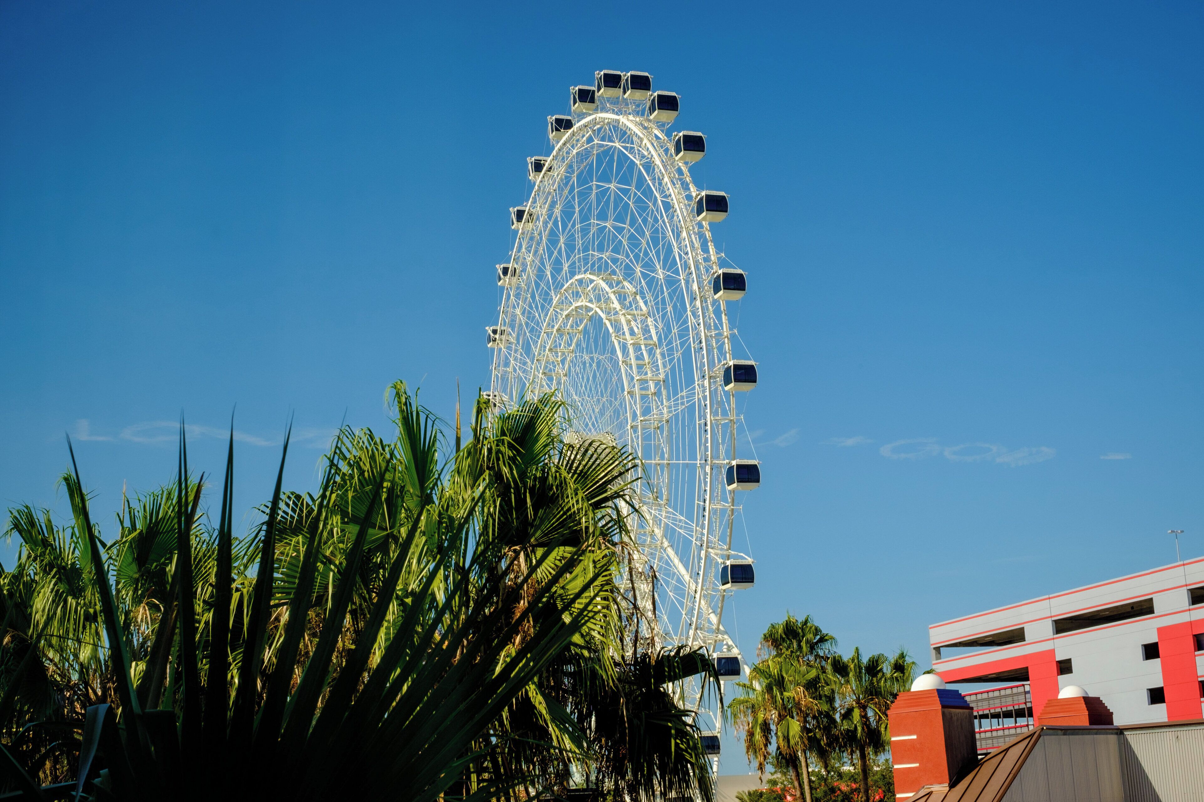 Una ruota panoramica con cabine, circondata da palme e un edificio con facciata rossa e bianca.