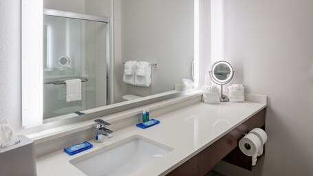 Holiday Inn Express Suites Orlando at SeaWorld, an IHG Hotel - Image 15