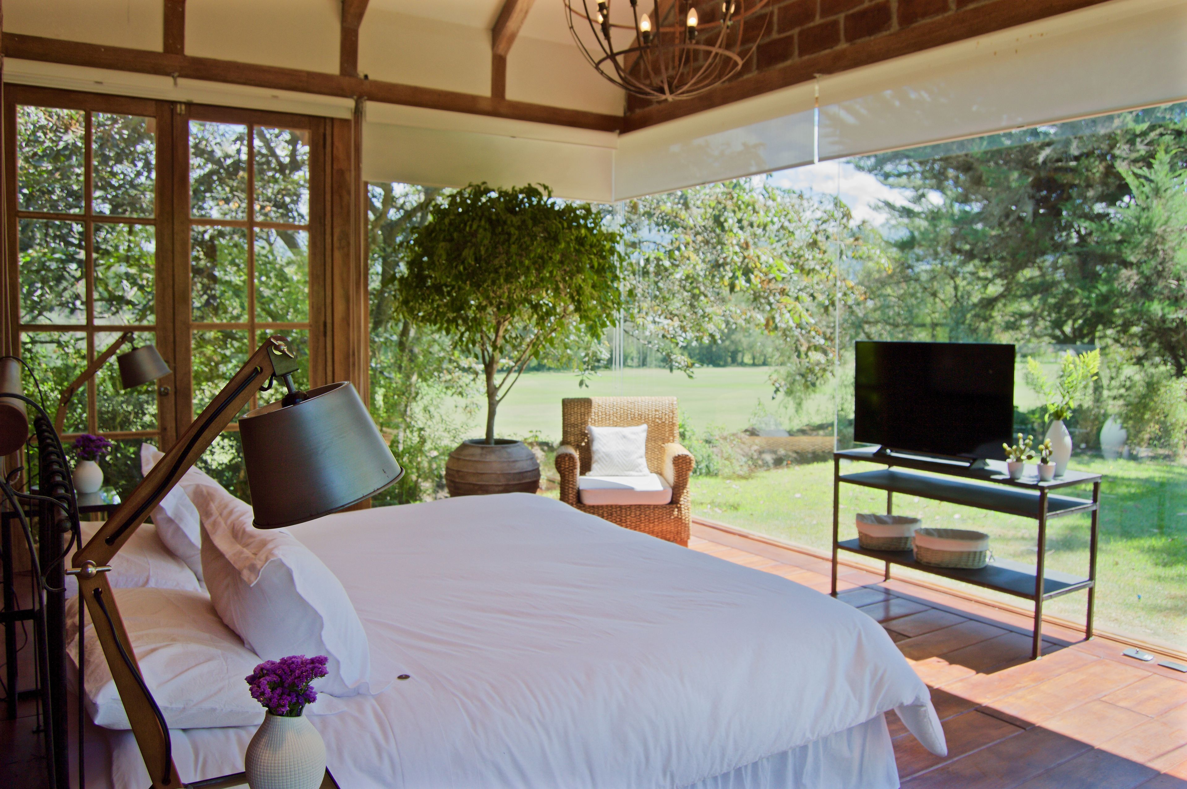 A bedroom with a large bed, a television on a stand, a chair, and a window with a view of trees.
