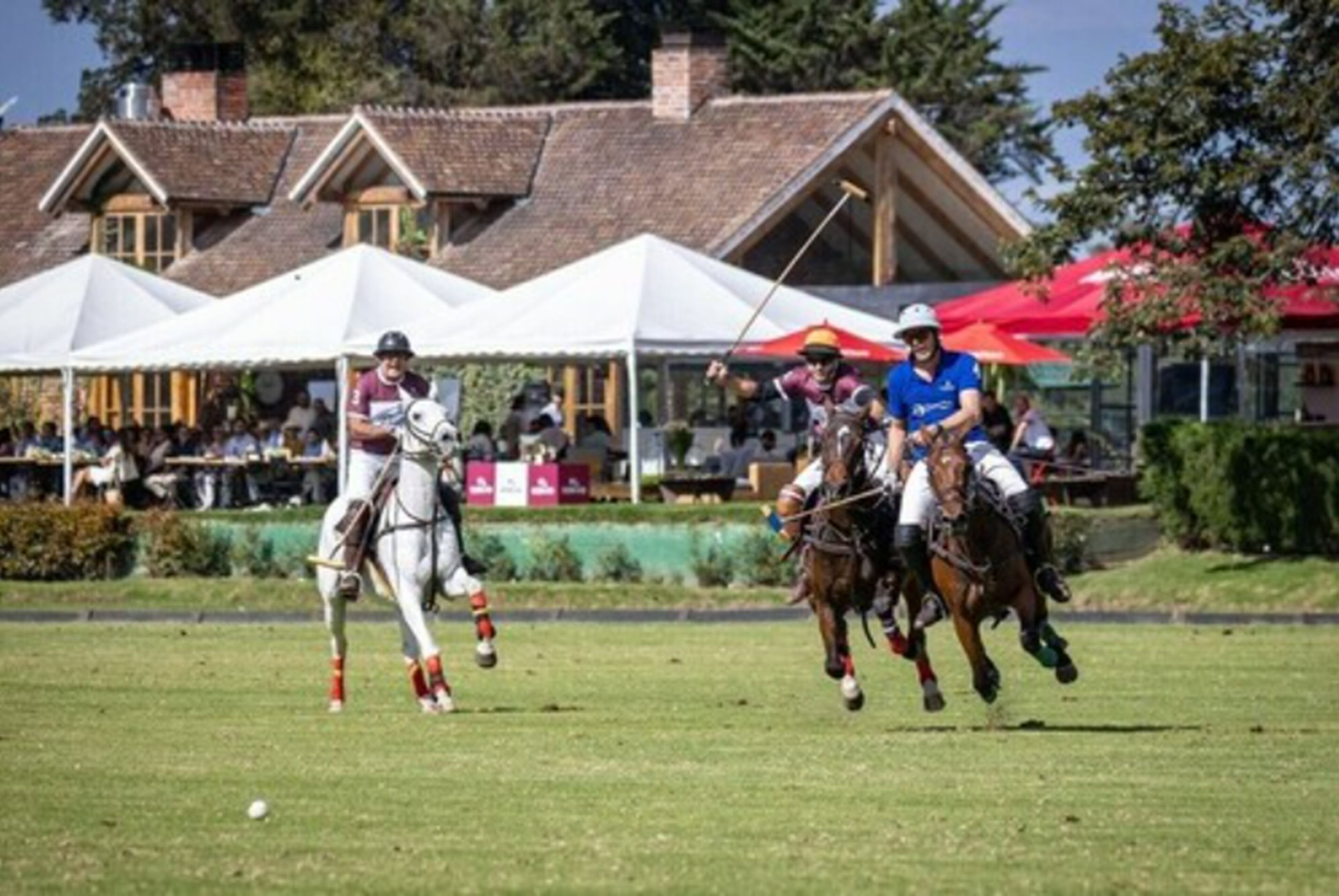 Un partido de polo en un campo de césped con espectadores bajo carpas blancas.