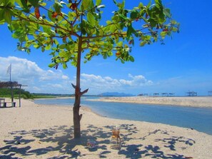 Trên bãi biển, lướt sóng/lướt ván
