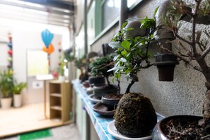 庭院