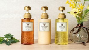 Servizio della camera