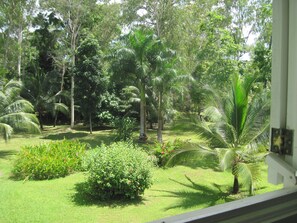 Utsikt fra overnattingsstedet