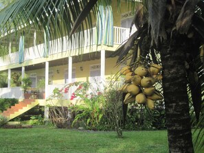Exterior - Sand Dollar Beach Bed & Breakfast (Bocas del Toro)