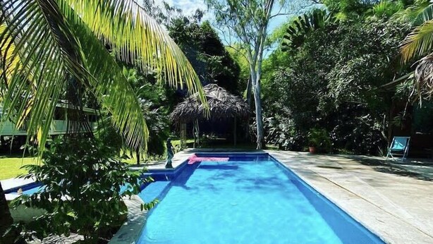 A clear swimming pool surrounded by lush greenery and a thatched-roof structure. - Sand Dollar Beach Bed & Breakfast (Bocas del Toro)