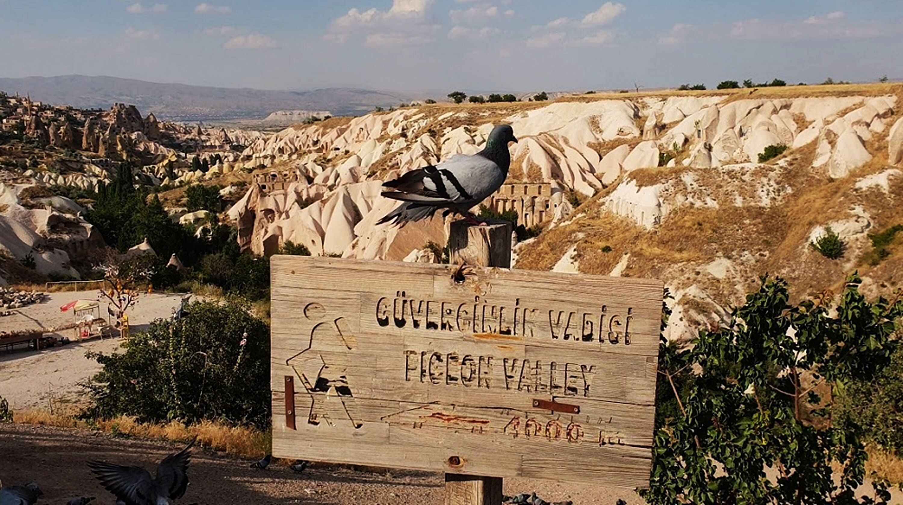 Foto - Bedrock Cave Hotel