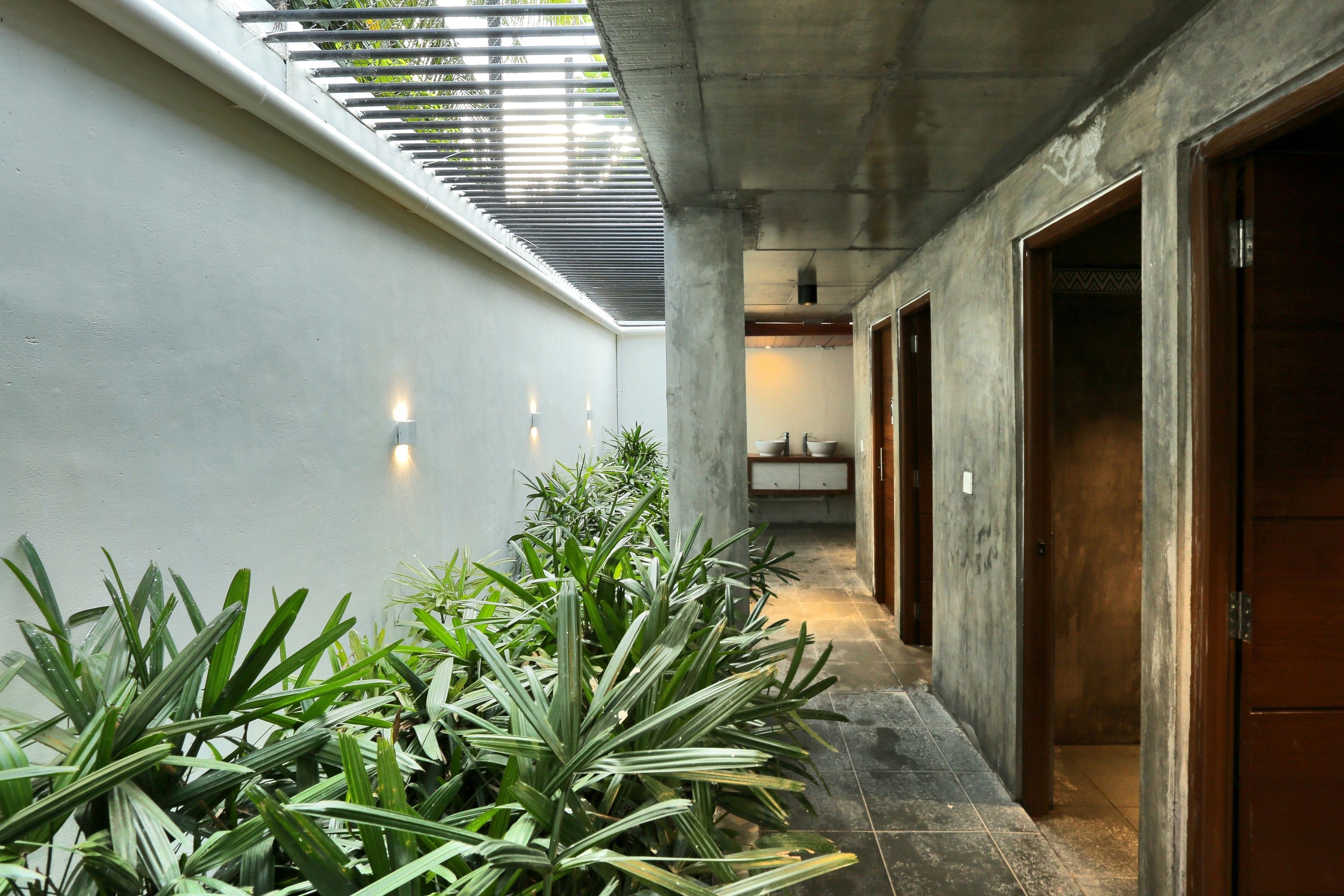 A hallway with concrete walls, a skylight, and potted plants.