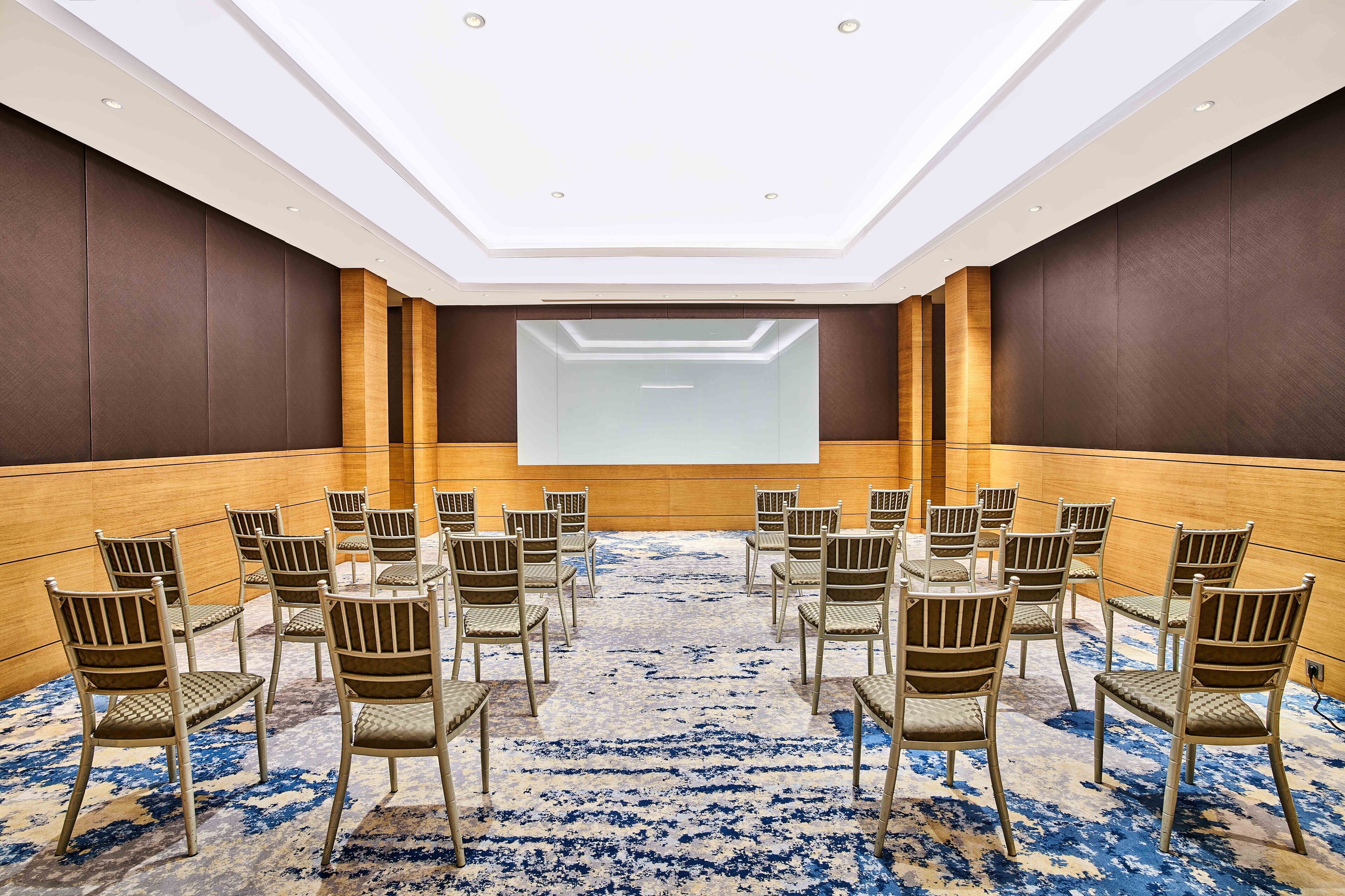 A conference room with a large screen at the front, rows of chairs, and a patterned carpet.