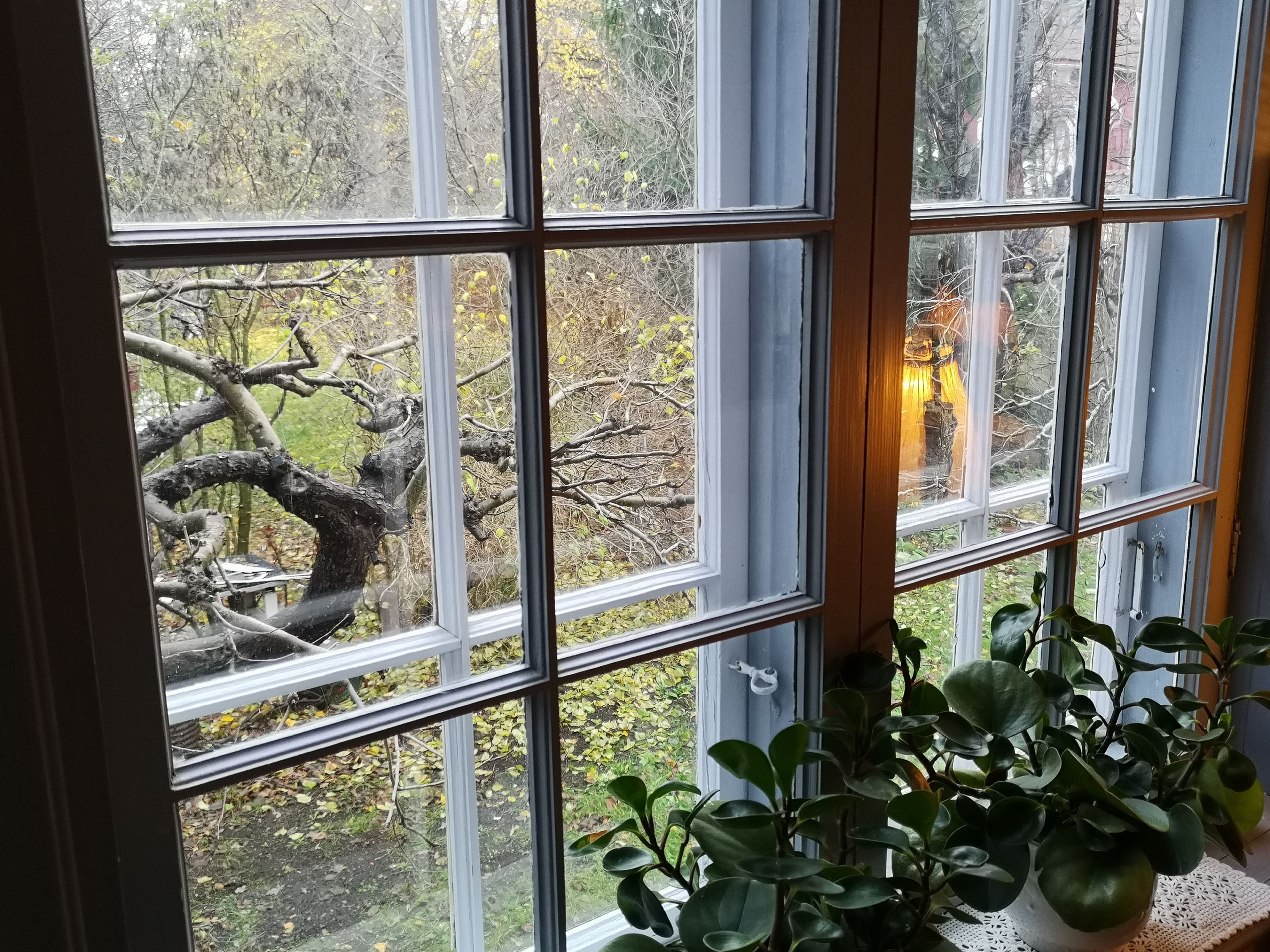 Twin kamer (3) | Individueel gedecoreerd, individueel gemeubileerd