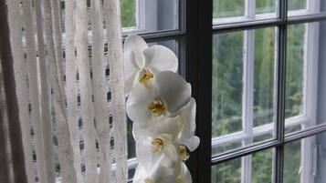 Una ventana con vista a follaje, una orquídea blanca y una cortina.
